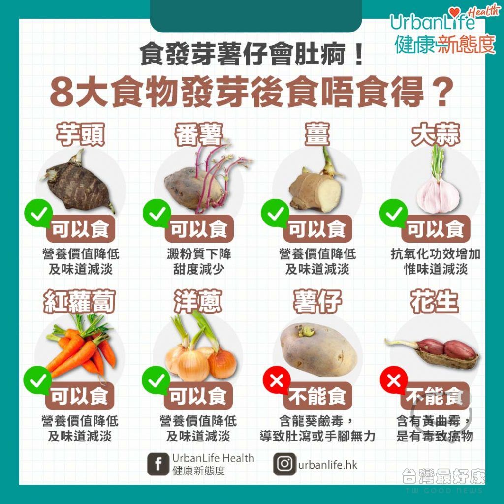 吃發芽薯仔會肚痾！8大食物發芽後還以吃嗎？